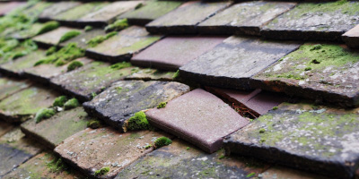 Garnant roof repair costs